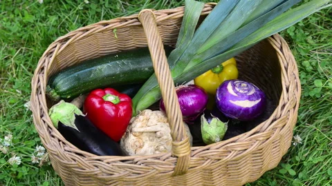 Hands taking fresh vegetables from a wicker basket Stock Footage 164470845