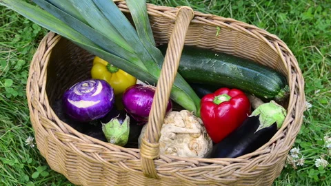 Hands taking fresh vegetables from a wicker basket Stock Footage 164470900