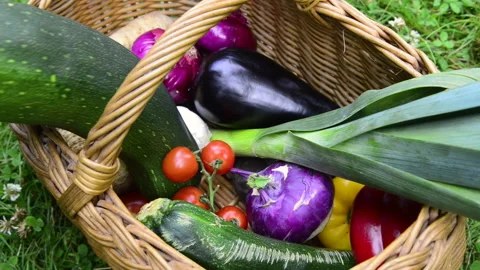 Hands taking fresh vegetables from a wicker basket Stock Footage 164471610