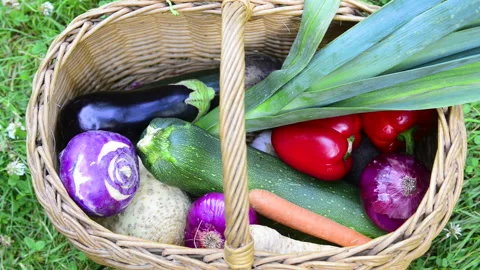 Hands taking fresh vegetables from a wicker basket Stock Footage 164472144