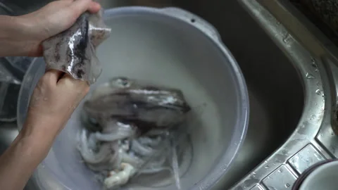 Hands taking middle bone out of fresh cuttle fish squid Stock Footage 159605834