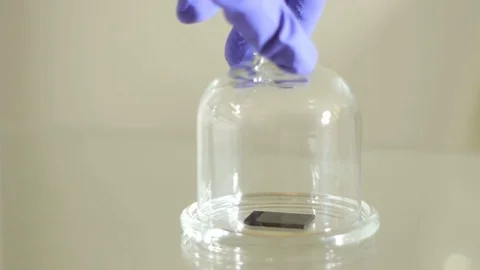 The hands is taking out the SD card from glass cloche Video stock 73358435