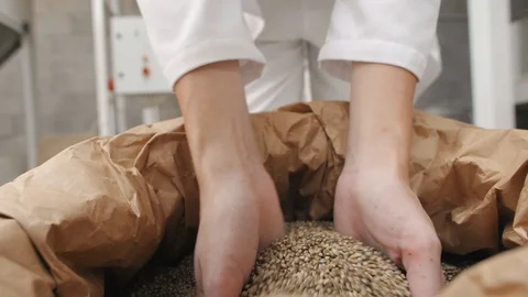 Hands taking seeds of CBD hemp from sack in factory Stock Footage