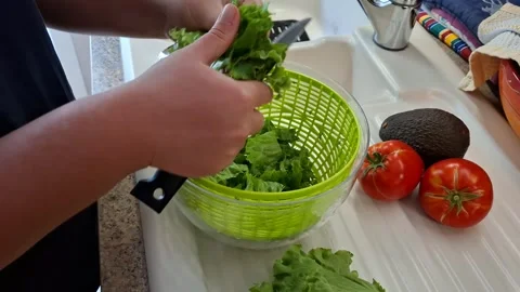 Hands Tearing Fresh Lettuce Into Spinner For Healthy Vegan Meal Prep Stock Footage 342412926