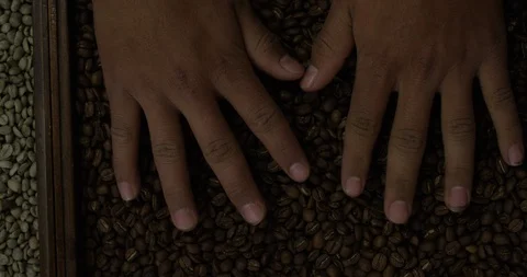 Hands through roasted coffee beans RED 4K slow motion Stock Footage 102894630