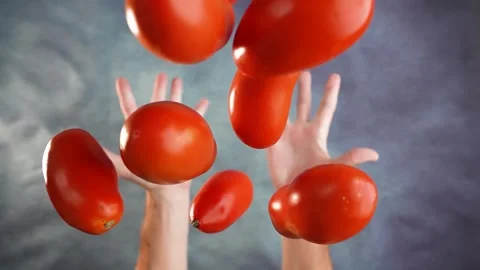 Hands throw tomatoes in slow motion Stock Footage 255613732