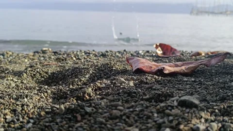 Hands Throwing Pebbles into Beach Water with Splash 動画素材 289617397