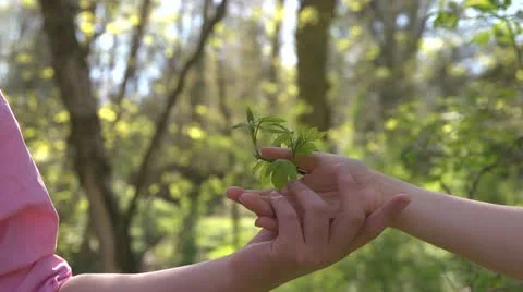 Hands Together Video stock 10906165