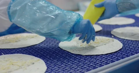 Hands top round flatbreads with cheese on a blue conveyor, Food Factory Stock Footage 340034099
