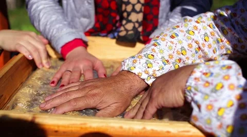 Hands touch the bee hive Stock Footage 68080209