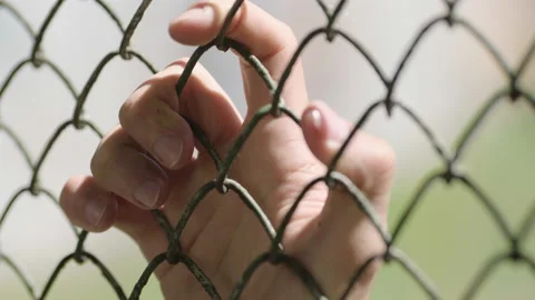Hands touching each Stock Footage 236433654
