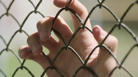 Hands touching each Stock Footage 236433676