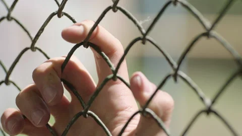 Hands touching each Stock-Footage 236433686