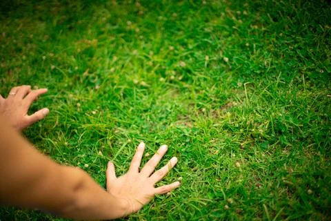 Hands touching green grass feeling nature connection Stock Photos