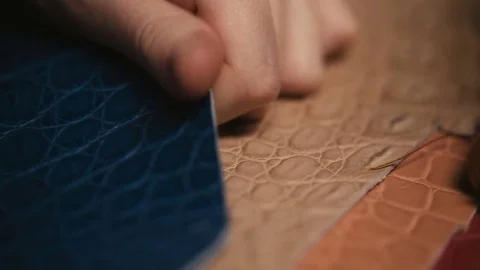 Hands touching the leather of a python snake Stock Footage 73951873