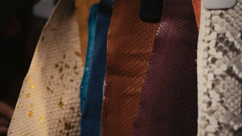 Hands touching the leather of a python snake Stock Footage 73951911