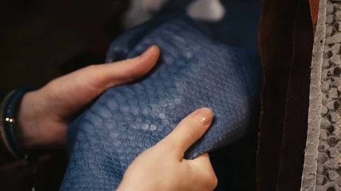 Hands touching the leather of a python snake 動画素材 73951977