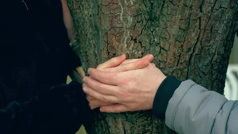 Hands touching on tree bark, fingers intertwined in loving gesture. Joyful Stock Footage 306372111