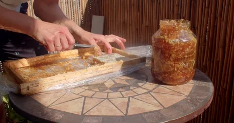 Hands transferring honeycomb square onto plate during outdoor honey extraction Stock Footage 344885234