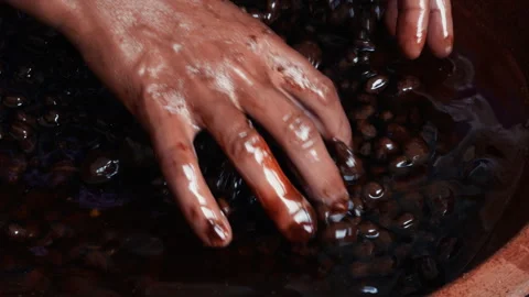 Hands Treating The Fruit Of Argan Inside Water Stock Footage 314859886