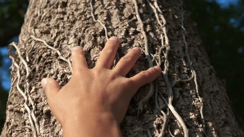 Hands on tree during green party day. 動画素材 232958970