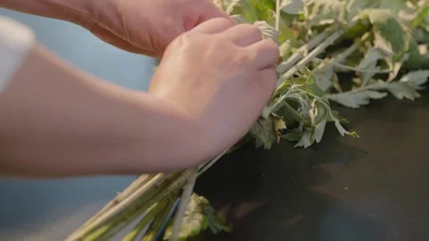 Hands Tying Fresh Green Herbs Bundle with Red String on Dark Table Stockbeeldmateriaal 336562584