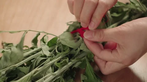 Hands Tying Red String Around Fresh Green Herbs on Wooden Table Video stock 339069493