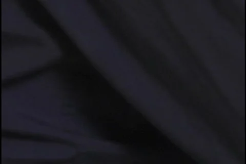 Hands Typing and Computer Screen Stock Footage 297683