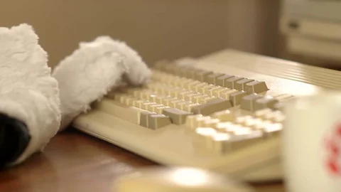 Hands typing on an old keyboard Video stock 79814920