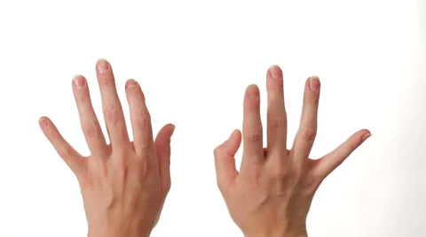Hands Typing on white background Stock-Footage 27120637