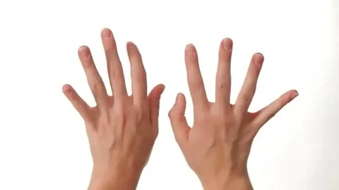 Hands Typing for on white background Stock Footage 98248164