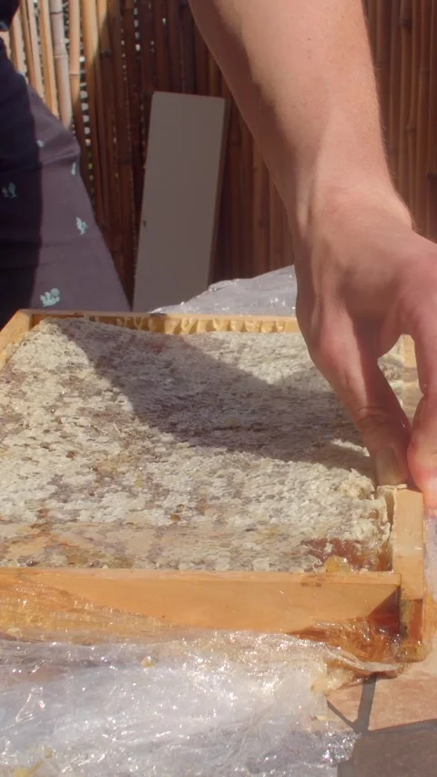 Hands uncapping honeycomb in wooden hive box with knife in golden sunlight honey Stock Footage 344583430