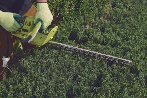 Hands of unknown worker in yellow gloves are trimming the overgrown green bush Stock-Fotos