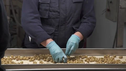 Hands of unrecognizable workers selecting the product on a conveyor belt in a Stock Footage 168643184