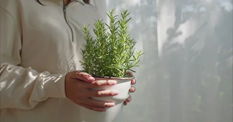 Hands of an unrecognizable young person practicing mindfulness Stock-Footage 336348994