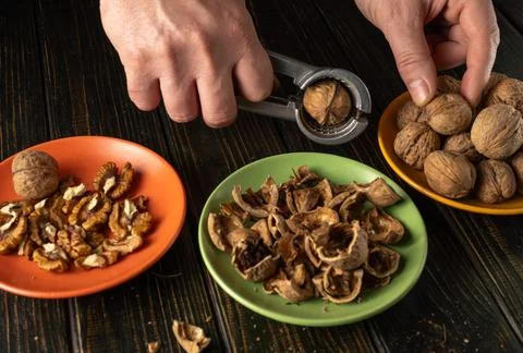 Hands use a nutcracker to open walnuts while shells and nuts are arranged o.. Stock Photos