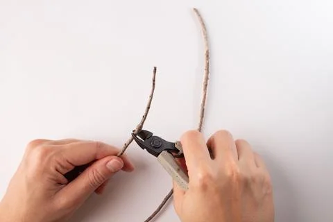 Hands using cutters to snip brown twig, white background, DIY, tutorial, st.. 스톡 사진