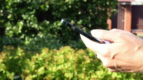 Hands using a smartphone in the garden or public park background Stock Footage 312315658