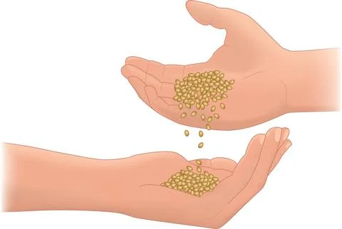 Hands vector illustration with grains Stock Illustration