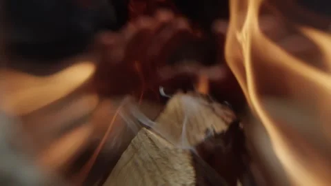 Hands warming themselves in front of a fire in the forest while on vacation Stock Footage 317215054