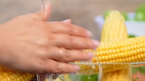 Hands wash corn under the water Video stock 84434264