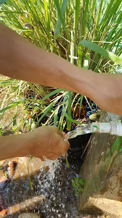 Hands wash under a running tap. Water splashes against muddy ground Stock Footage 332082904