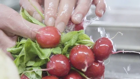 Hands washich radish Vídeos de archivo 104664225