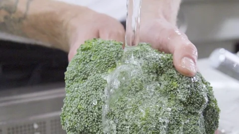 Hands washing broccoli Vídeos de archivo 104664249
