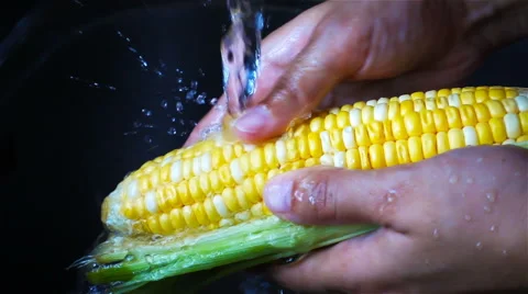 Hands is washing corn fresh Stock Footage 65824564