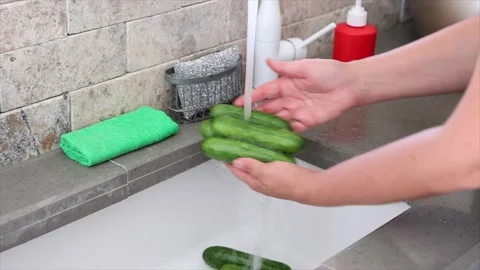 Hands washing cucumbers in kitchen Stock Footage 219889322