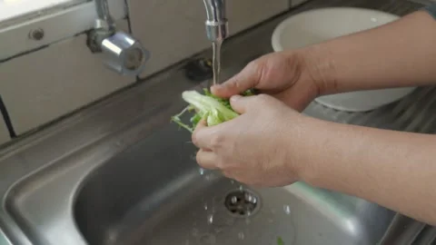 Hands washing fresh lettuce under running water in kitchen sink Видео 338144625