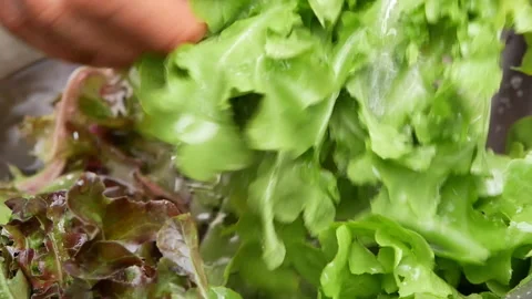 Hands washing fresh vegetables in kitchen sink.Concept of preparing healthy meal Stock Footage 158657946