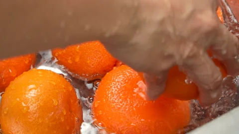 Hands Washing Multiple Oranges in Bowl with Running Water Close Up 4K Stock Footage 319430628
