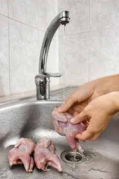 Hands washing the quails Stock Photos